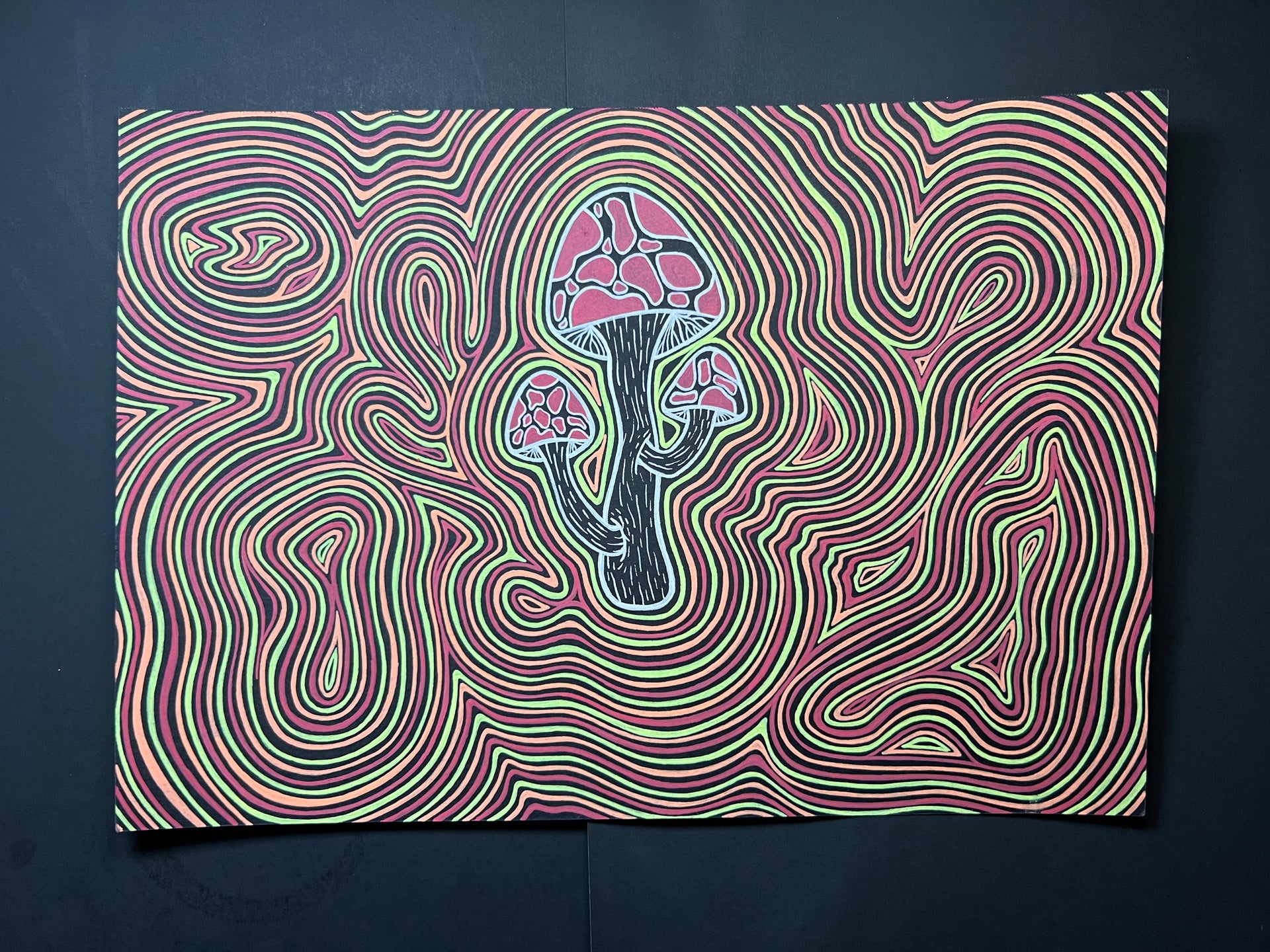IMG-2230.heic?v=1709235642&